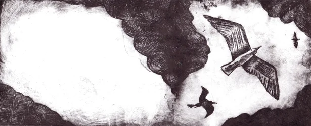 Le conte de la mouette, 2012