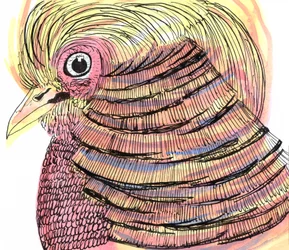 Oiseau tropical, 2018