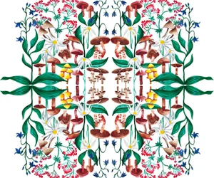 Plantes Sauvages