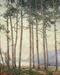 Lac fantôme