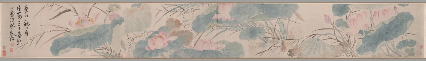 Lotus fleuri