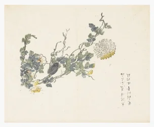 Jardin de la graine de moutarde