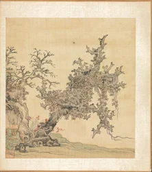 Un arbre ancien