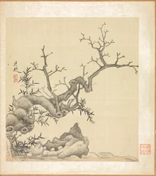 Roche, vieil arbre et bambou