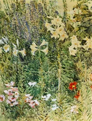Delphiniums et Lys