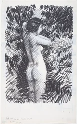 Nu