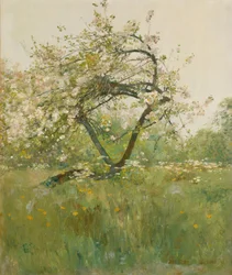 Fleurs de pêcher, Villiers-le-Bel
