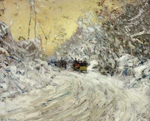 Balade en traîneau dans Central Park