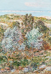 Vision printanière