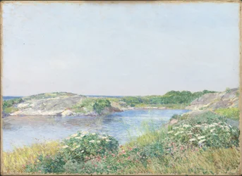 Le Petit Étang, Appledore