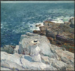 Les falaises sud, Appledore