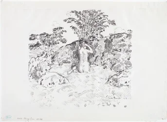 Cerisier sauvage
