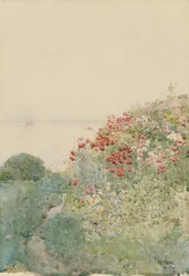 Champ de coquelicots, îles de Shoals