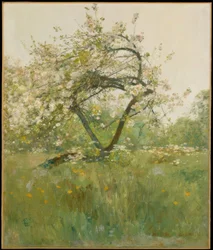 Fleurs de pêcher—Villiers-le-Bel