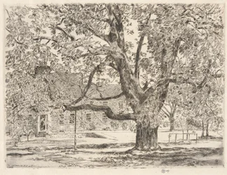 Le grand marronnier, Easthampton