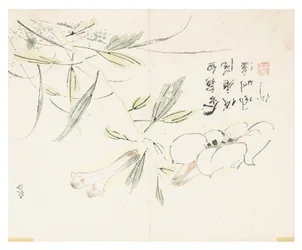 Jardin de graines de moutarde