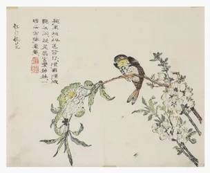 Jardin de la graine de moutarde