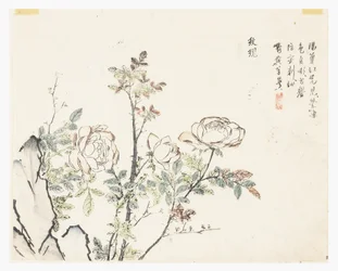 Jardin de la graine de moutarde