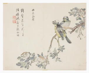 Jardin de la graine de moutarde