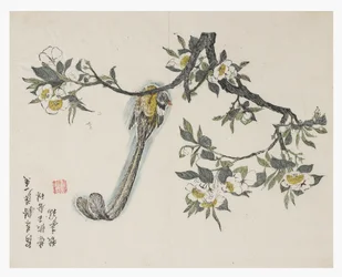 Jardin de la graine de moutarde