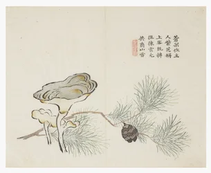 Jardin de graines de moutarde