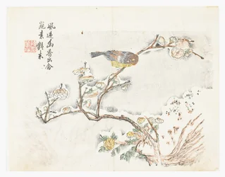 Jardin de graines de moutarde