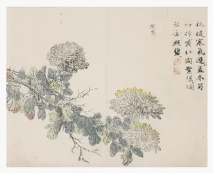 Jardin de la graine de moutarde