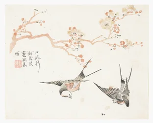 Jardin de la graine de moutarde