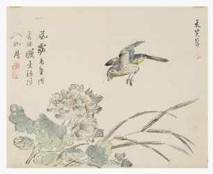 Jardin de la graine de moutarde