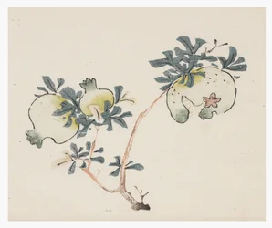 Série des Dix Bambous, XVIIIe siècle