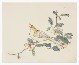 Série des Dix Bambous, XVIIIe siècle