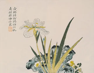 Le Jardin aussi grand qu