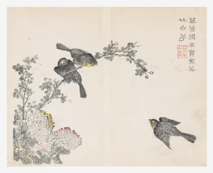 Le Jardin des graines de moutarde