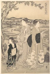 Komachi perroquet