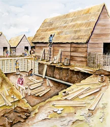 Bâtiments vikings
