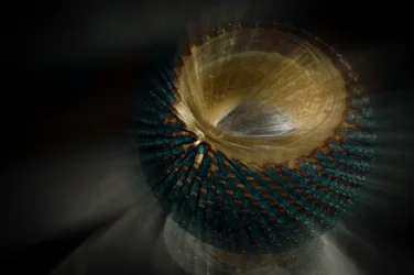 Vortex de la sarcelle dorée