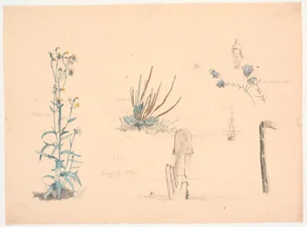 Études de plantes. Un pont de bain et un navire