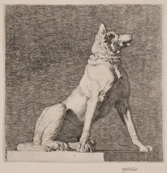 Un chien assis d
