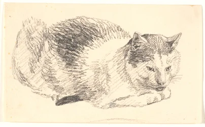Chat couché