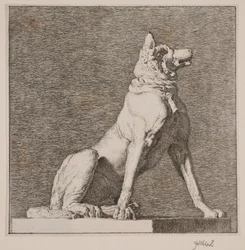 Un chien assis d