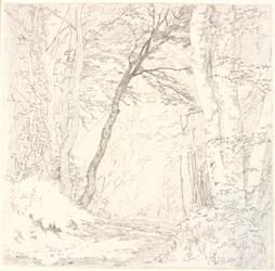 Chemin à travers une forêt