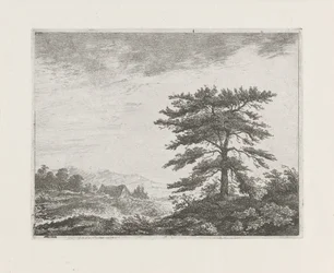 Arbre dans un paysage de bruyère