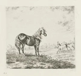 Paysage avec trois chevaux