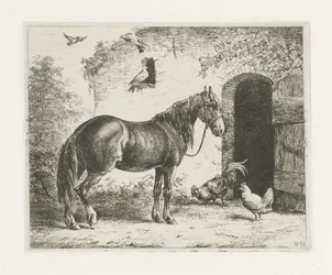 Cheval avec licol