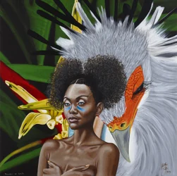 Oiseaux d