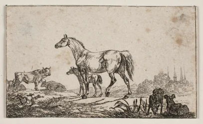 Carte de visite de Gebauer
