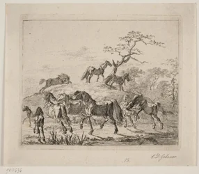 Chevaux de haras