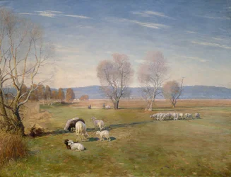 Paysage avec moutons