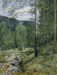 Printemps dans la forêt