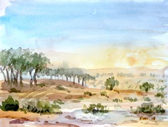 Désert de Rak, 2016